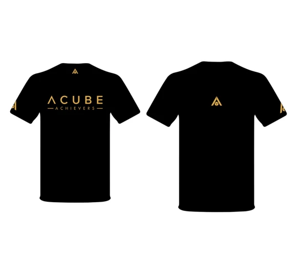 RV-T02 Crew Tee, Black with gold print